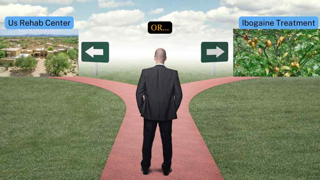 A man in a suit stands at a forked path. Signs indicate choices: US Rehab Center to the left with a building image, Ibogaine Treatment to the right with a plant image, suggesting decision-making on treatment options.