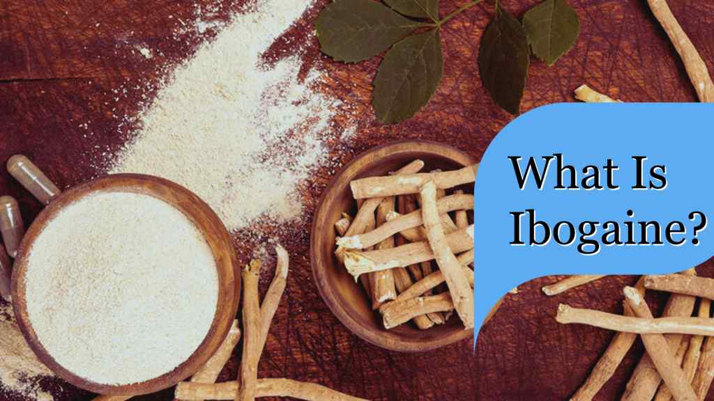 Brown bowls of iboga powder and sticks on a wooden surface, with a few green leaves. A blue speech bubble reads, "What Is Ibogaine?"